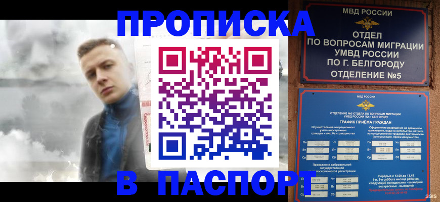 временная регистрация в Михайлове